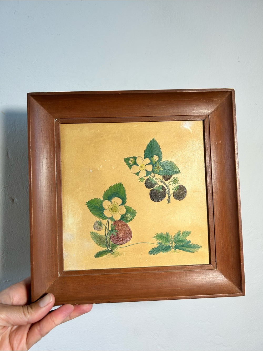 Antique Hand Painted Strawberry Botanical Stipple Art Wood Frame Vintage